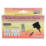 RIFFELMACHER & WEINBERGER Ruhe-Flackerlicht Trafo mit Fernbedienung und Timer