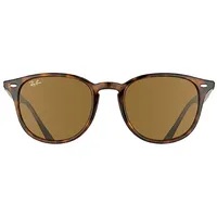Ray-Ban RB4259 tortoise / brown classic