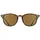Ray-Ban RB4259 tortoise / brown classic