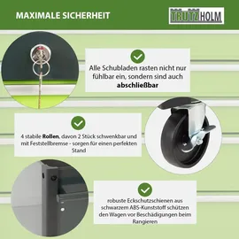 Trutzholm Werkzeugwagen Trutzi mit Kantenleiste 78 x 64 cm Grün/Hellgrau Rollcontainer Werkstattwagen