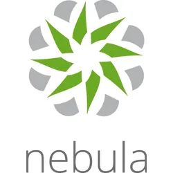 ZyXEL Nebula Security Service Security Pack - Abonnement-Lizenz (1 Jahr)