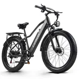 CEAYA Elektrofahrrad,E-Bike für Herren und Damen,26''E-Mountainbike,48V20AH E Fahrrad,Mit 7-Gänge Elektro Fahrrad