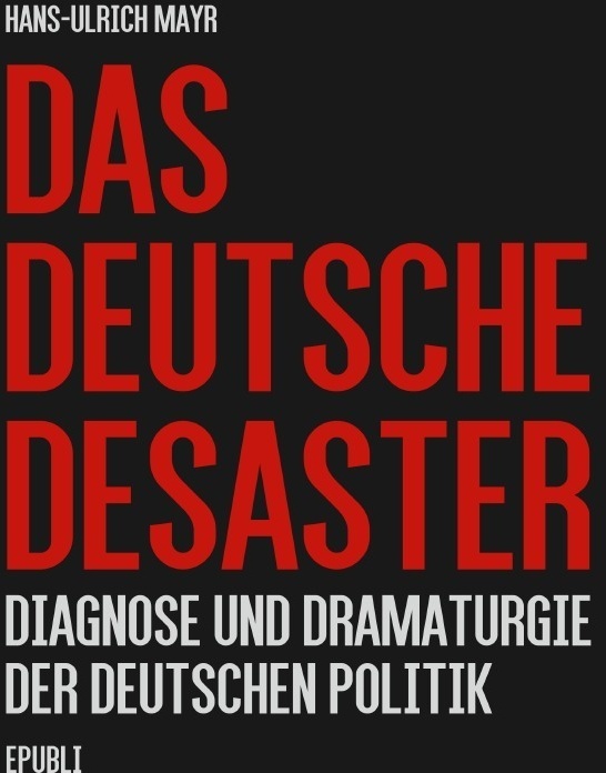 Das Deutsche Desaster - Hans-Ulrich Mayr  Kartoniert (TB)