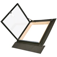 Standard-Ausstiegsfenster WLI 54 x 83 cm