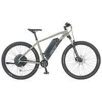 Prophete Dice 2.0 E-MTB E-Bike 29 Zoll 0