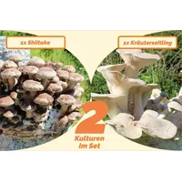 Bio Pilzzucht-Pärchen 2 Sorten ein Set" Kräuterseitling + Shiitake"