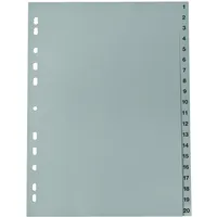 Plastoreg Register 220 A4 20tlg 1-20 grau