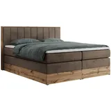MKS Bellissimo King 140 x 200 cm H3 Braun