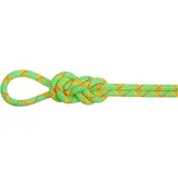 Mammut Alpine Core Protect Dry Halbseil Orange/Grün 50 m