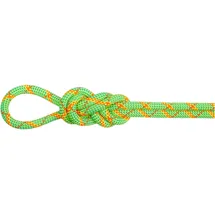 Mammut Alpine Core Protect Dry Halbseil Orange/Grün 50 m