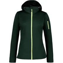 ICEPEAK Bridgewater Damen Grün 40