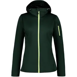 ICEPEAK Bridgewater Damen Grün 40