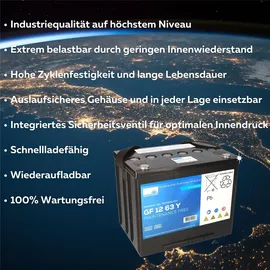 Sonnenschein / Exide Sonnenschein GF 12 063 Y O dryfit Blei Gel Antriebsbatterie 12V 63Ah (C5) VRLA
