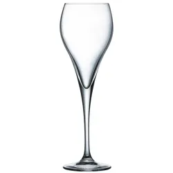 Arcoroc 24 x Brio Sektkelch 16cl * - mit Moussierpunkt -