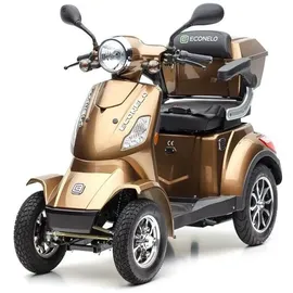ECONELO P4000 Lithium-Akku Braun