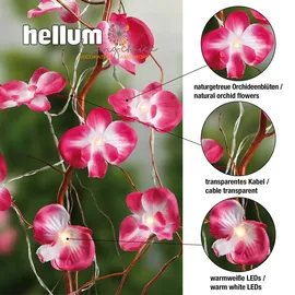 Hellum LED Lichterkette 1,35 m warmweiß Rosa