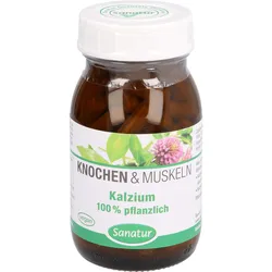 Kalzium 100% Pflanzlich 100 ST