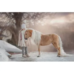 Fototapete PAPERMOON "PALOMINO MINIATURE PFERD-MÄDCHEN WINTER TIER PONY MINI", bunt, B:2,50m L:1,86m, Vlies, Tapeten