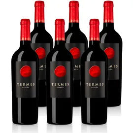Bodega Numanthia Termes 2021 - Bodegas Numanthia