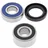 All Balls Racing Radlagersatz Hochgeschwindigkeits 25-1020