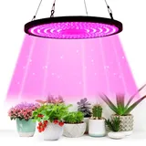 Rosnek 70W Vollspektrum Pflanzenleuchten, Grow Lampe für Zimmerpflanzen mit 144 LEDs, Runden Anzucht Wachstumslicht für Gewächshaus Gemüse Blumen