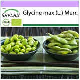 Saflax - BIO - Bohne - Edamame - 8 Samen -