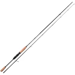 Spro Trout Master Passion Trout Spin 2.40m 3-10g Forellenrute