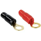 ACV Electronic ACV Car HiFi Ringkabelschuh 2er Set 20 mm2 8.40 mm Schwarz, Rot