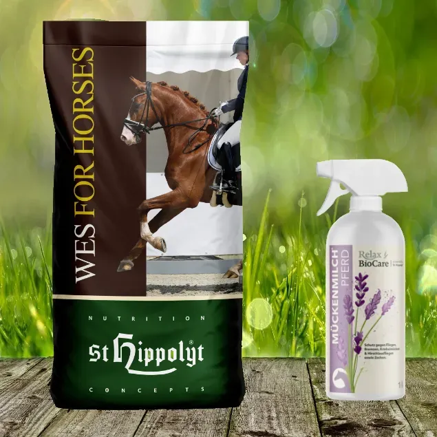 St. Hippolyt WES for Horses - All in One 15 kg + Relax Biocare Mückenmilch 500 ml