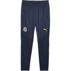 Puma FSK Training Pants club navy-speed yellow (12) S
