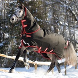 Horseware Rambo Supreme mit Vari-Layer Heavy 450g incl. abnehmbarem Halsteil / black with red, 130