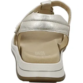 ARA Osaka Damen Gold 35