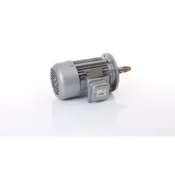 ELMAG Motor für Hubspindel - 9802924