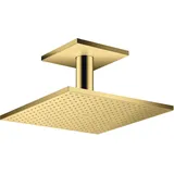Hansgrohe Kopfbrause 300/300 2jet (35320990)