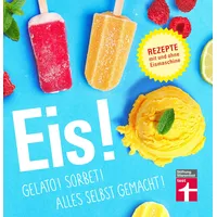 Stiftung Warentest Eis!: Gelato! Sorbet! Alles selbst gemacht!