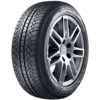 Sunny Wintermax NW611 205/65 R15 99T