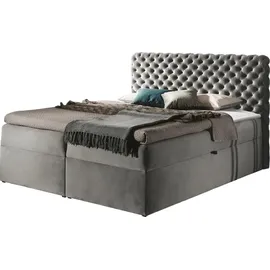 Mirjan24 Chesterfield 160 x 200 cm Grau
