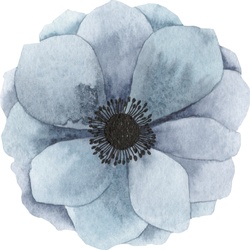 Wandtattoo QUEENCE „Kamela“ Wandtattoos Gr. B/H: 70 cm x 70 cm, Blume, blau Wandtattoos Natur