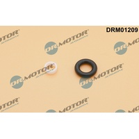 DR.MOTOR AUTOMOTIVE Reparatursatz, Einspritzdüse VW,AUDI,SKODA DRM01209 036198149