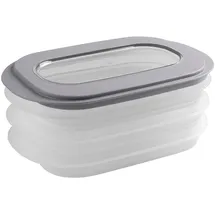 sunware perfectly organised Aufbewahrungskiste E-Claire 18 x 10 cm 1-tlg. grau/transparent
