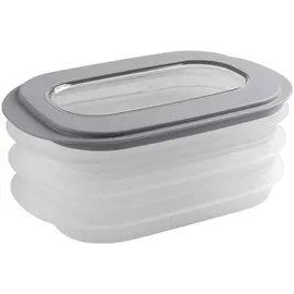 sunware perfectly organised Aufbewahrungskiste E-Claire 18 x 10 cm 1-tlg. grau/transparent