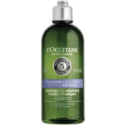 Sanfte Balance Shampoo 300ml 1 St