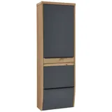 Dieter Knoll Garderobenschrank, Grau, Eiche, furniert, massiv, 1 Fächer, 64x187x31 cm,