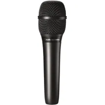 Audio-Technica AT2010
