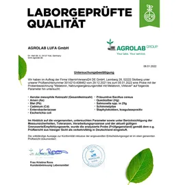 Vit4ever Vegan 7K Protein Pistazie Pulver 1000 g