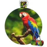 TropicalLife Bunte Papageien-Picknickdecke, rund, Vögel, Papageien, wasserdicht, faltbar, für drinnen und draußen, für Strand, Camping, Park, Familientreffen, Aktivitäten