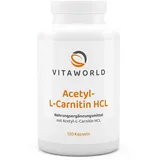 VITA-WORLD Acetyl-L-Carnitin HCL Kapseln 120 St.