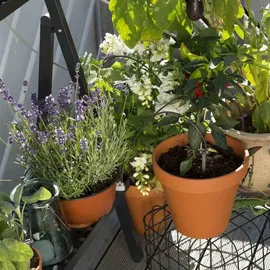 Gardena Urlaubsbewässerung-Set (1265-20)