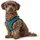 Hunter Hilo Comfort Hundegeschirr Türkis XXS-XS