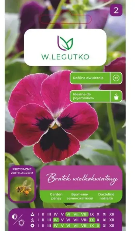 Stiefmütterchen „Claret“ – karminrosa